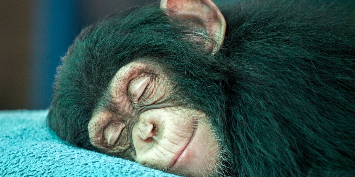 Feature image for 'Sleep on it' and 9 other money tricks and rules